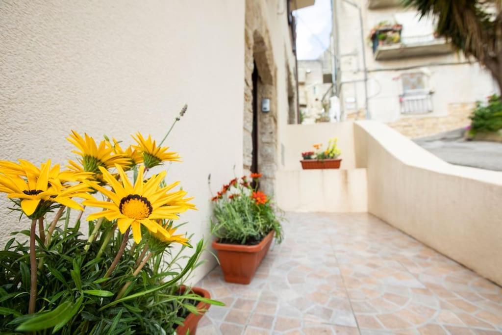 La Domus Di Segesta "Smart Solution" Apartamento Calatafimi Exterior foto